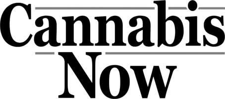 Cannabis Now