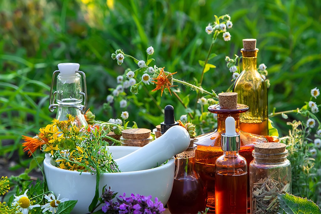 4 ONGROK Oil Infusion Machines For Herbs At Home