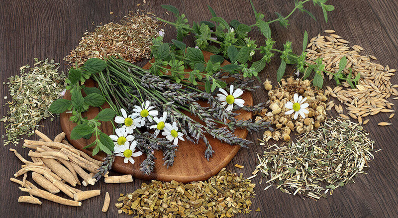 How To Use Herbs For Anxiety & Stress