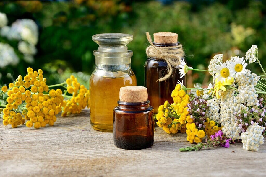 Basic Guide To Tinctures: Unlocking the Healing Power