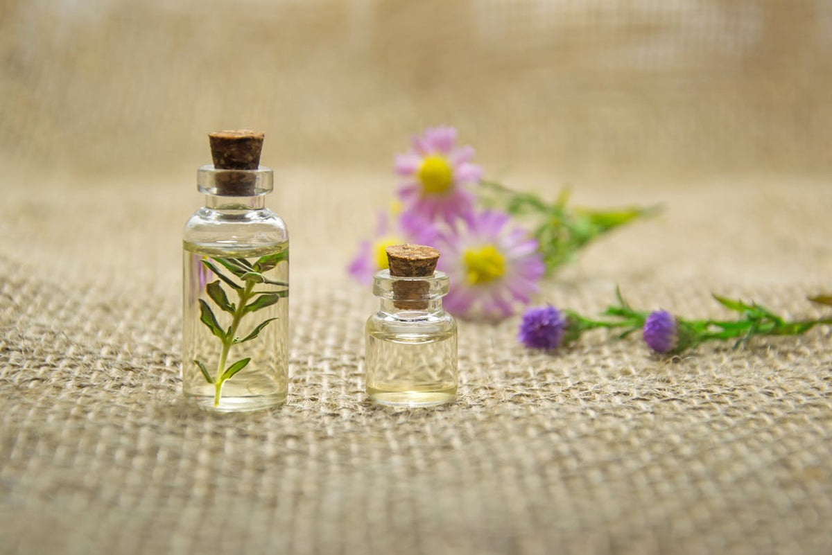 Ultimate Guide to Infusing Coconut Oil with Herbs: From Kitchen to Wellness