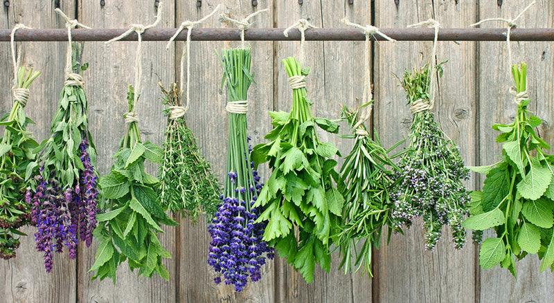 Three Ways To Preserve Your Fresh Herbs