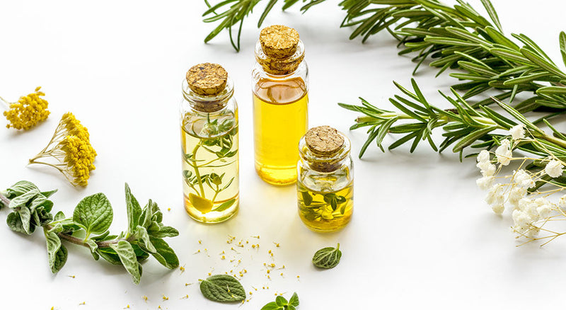 Understanding The Benefits Of Herb-Infused Oil For Your Health