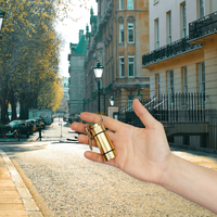Small Storage Keychain ONGROK USA Gold